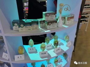 借力國際展會(huì)，麗水產(chǎn)品與平臺(tái)服務(wù)雙雙走出國門 理念先行如何精準(zhǔn)匹配外商胃口？